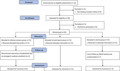 Comparing the effects of olfactory-based sensory stimulation and board game training on cognition, emotion, and blood biomarkers among individuals with dementia: A pilot randomized controlled trial